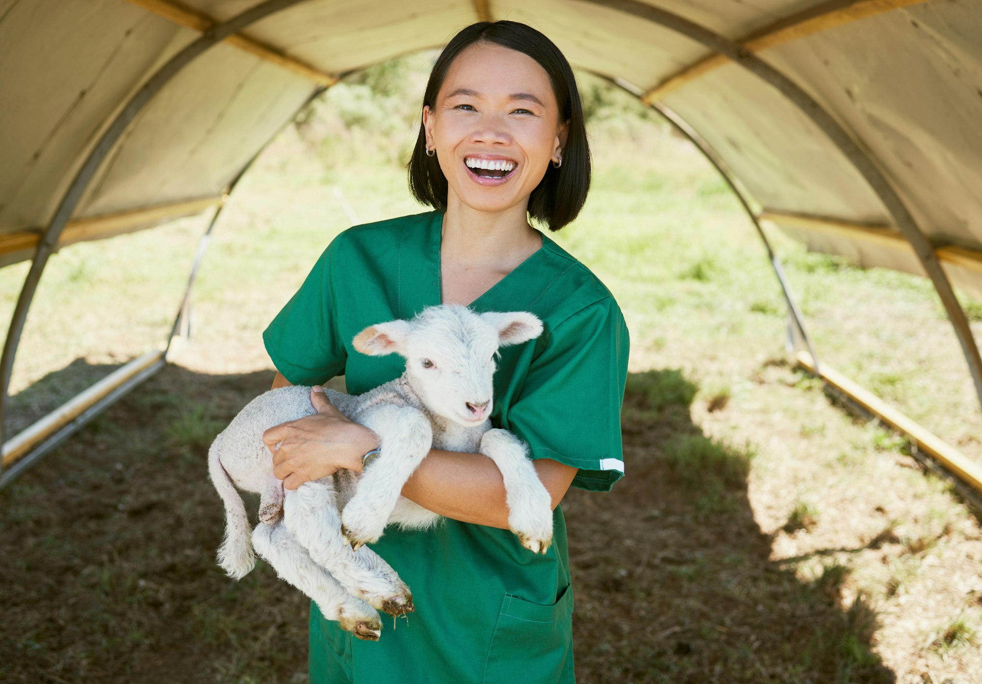 Portrait, vet and animal on farm for livestock inspection, animal care and environment check up in